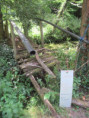 /album/saint-savinien-le-10-juin-2026/img-3920-jpg/