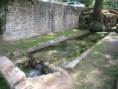 /album/saint-savinien-le-10-juin-2026/img-3921-jpg/