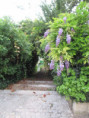 /album/saint-savinien-le-10-juin-2026/img-3931-jpg/