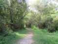 /album/aigrefeuille-le-1er-juillet-2026/img-4261-jpg/