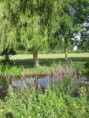 /album/aigrefeuille-le-1er-juillet-2026/img-4266-jpg/