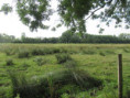 /album/aigrefeuille-le-1er-juillet-2026/img-4272-jpg/