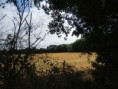 /album/aigrefeuille-le-1er-juillet-2026/img-4281-jpg/