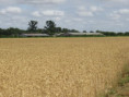 /album/aigrefeuille-le-1er-juillet-2026/img-4289-jpg/