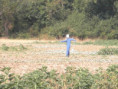 /album/saint-pierre/p7150017-jpg/