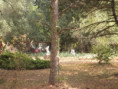 /album/saint-pierre/p7150035-jpg/
