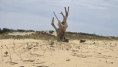 /album/la-tremblade-le-15-juillet-2026/img-20260717-wa0000-jpg/