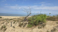 /album/la-tremblade-le-15-juillet-2026/img-20260717-wa0001-jpg/