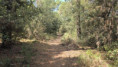 /album/la-tremblade-le-15-juillet-2026/img-20260717-wa0012-jpg/