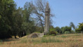 /album/fenioux-le-22-juillet-2026/img-20260722-wa0002-jpg/