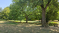 /album/fenioux-le-22-juillet-2026/img-20260722-wa0003-jpg/