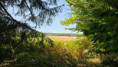 /album/fenioux-le-22-juillet-2026/img-20260722-wa0007-jpg/