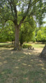 /album/fenioux-le-22-juillet-2026/img-20260722-wa0009-jpg/
