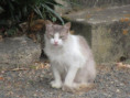 /album/sainte-gemme/img-4562-jpg/