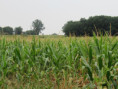 /album/sainte-gemme/img-4576-jpg/