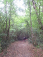 /album/sainte-gemme/img-4585-jpg/