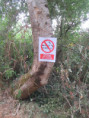 /album/sainte-gemme/img-4587-jpg/