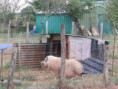 /album/sainte-gemme/img-4594-jpg/