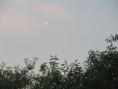 /album/sainte-gemme/img-4596-jpg/