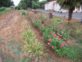 /album/sainte-gemme/img-4600-jpg/