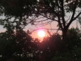 /album/sainte-gemme/img-4620-jpg/