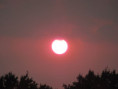 /album/sainte-gemme/img-4629-jpg/
