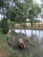 /album/sainte-gemme/img-4632-jpg/
