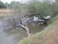 /album/sainte-gemme/img-4638-jpg/