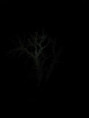 /album/sainte-gemme/img-4658-jpg/