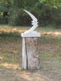 /album/29-juillet-2026-la-roche-courbon/img-4738-jpg/