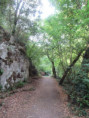 /album/29-juillet-2026-la-roche-courbon/img-4741-jpg/