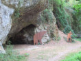 /album/29-juillet-2026-la-roche-courbon/img-4751-jpg/