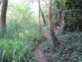 /album/29-juillet-2026-la-roche-courbon/img-4754-jpg/