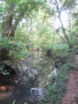 /album/29-juillet-2026-la-roche-courbon/img-4759-jpg/