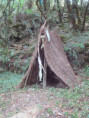 /album/29-juillet-2026-la-roche-courbon/img-4766-jpg/