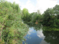 /album/magne-le-5-aout-2026/img-4895-jpg/