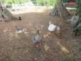 /album/magne-le-5-aout-2026/img-4896-jpg/