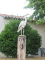 /album/magne-le-5-aout-2026/img-4897-jpg/