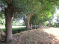 /album/magne-le-5-aout-2026/img-4910-jpg/