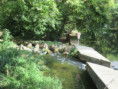 /album/magne-le-5-aout-2026/img-4916-jpg/