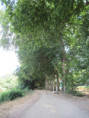 /album/magne-le-5-aout-2026/img-4934-jpg/