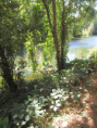 /album/magne-le-5-aout-2026/img-4939-jpg/