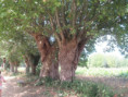 /album/magne-le-5-aout-2026/img-4943-jpg/