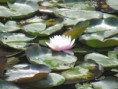 /album/magne-le-5-aout-2026/img-4944-jpg/