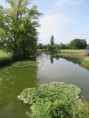 /album/sablanceaux/img-5088-jpg/