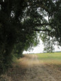 /album/sablanceaux/img-5093-jpg/