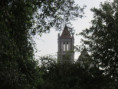 /album/sablanceaux/img-5094-jpg/