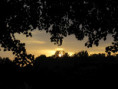/album/sablanceaux/img-5106-jpg/