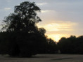 /album/sablanceaux/img-5108-jpg/