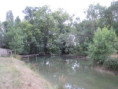 /album/sablanceaux/img-5110-jpg/